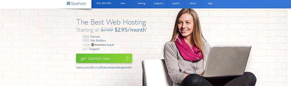 The Best Web Hosting _ Fast Professional Website Hosting Services