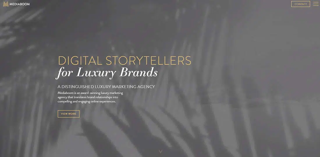 Luxury Marketing Agency Websites with Background Videos 