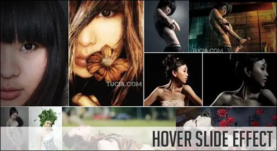 hover effect jQuery
