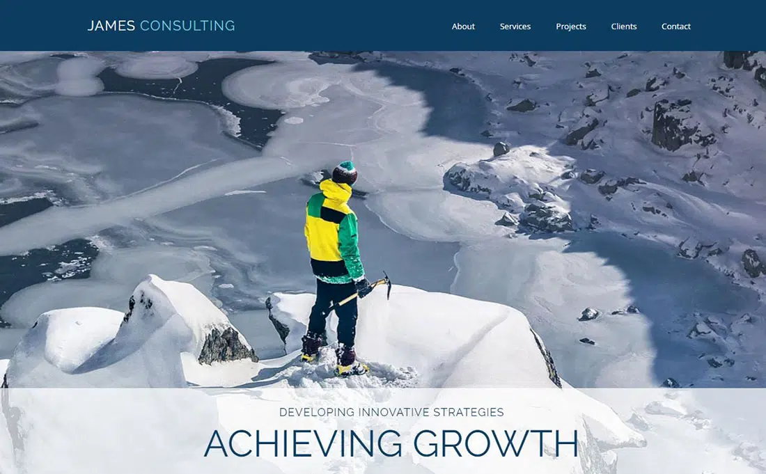 The Consultant Coaching Website Templates