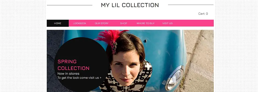 Lil Collection Website Template _ WIX