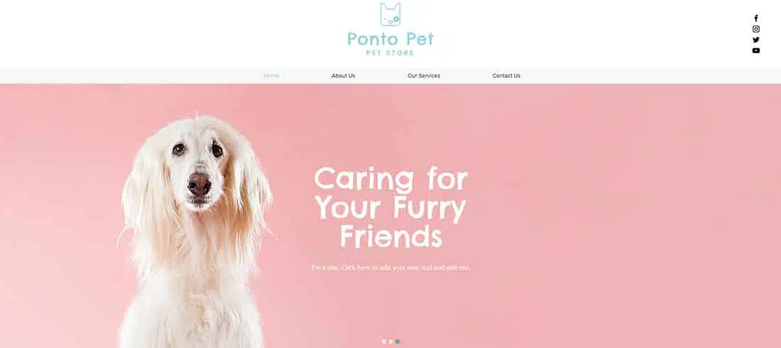 Wix - Pet Shop Website Template