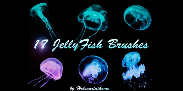  Jellyfish Brushes