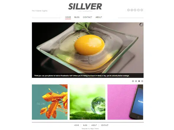 Sillver free website photoshop template