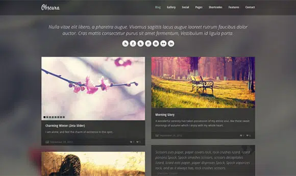 Obscura Free Responsive HTML Template
