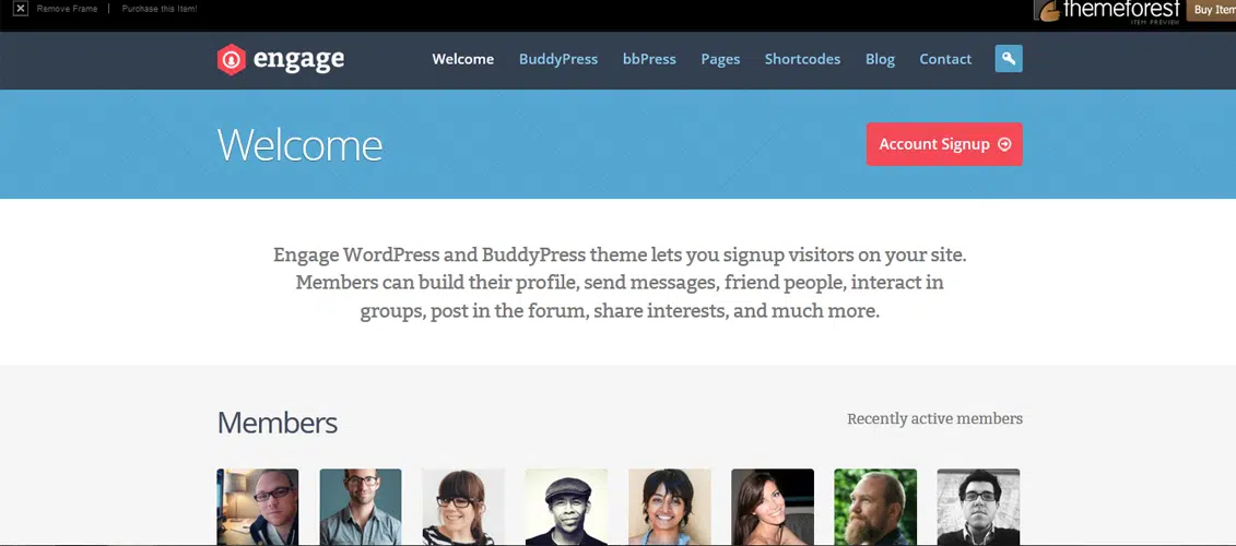 Engage - WordPress, BuddyPress, bbPress Theme