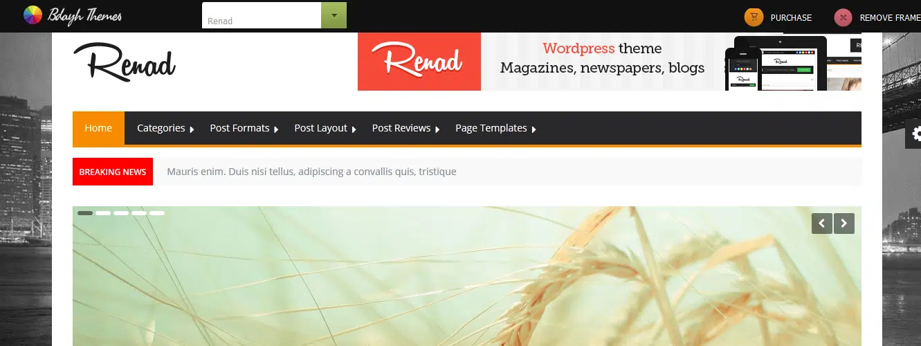 Renad - Clean & Modern WordPress Magazine Theme