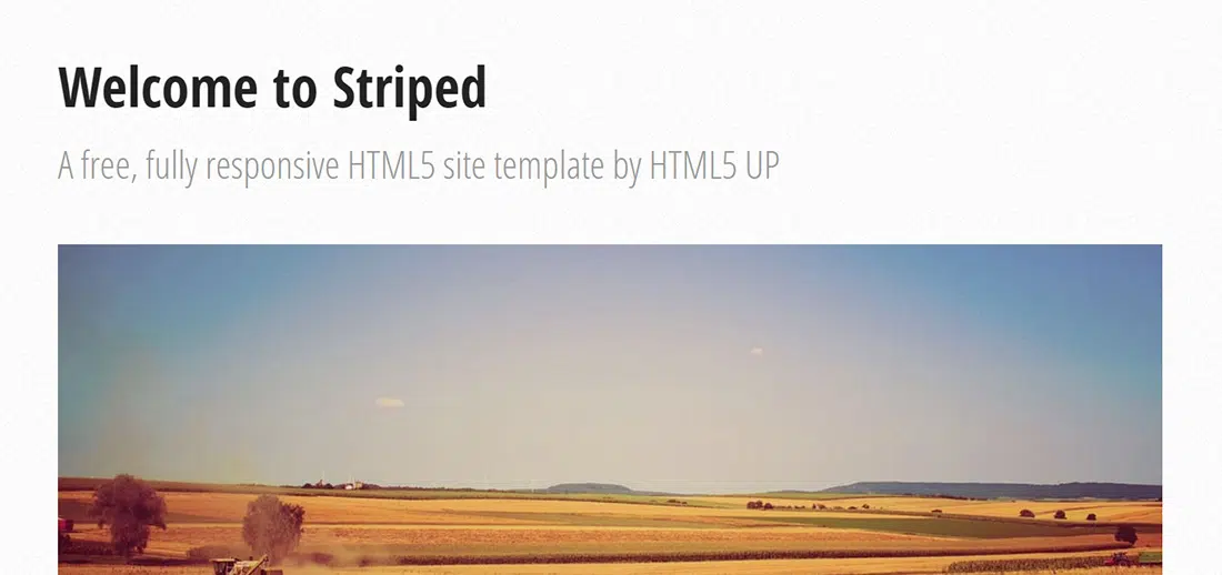 Striped _ HTML5 UP