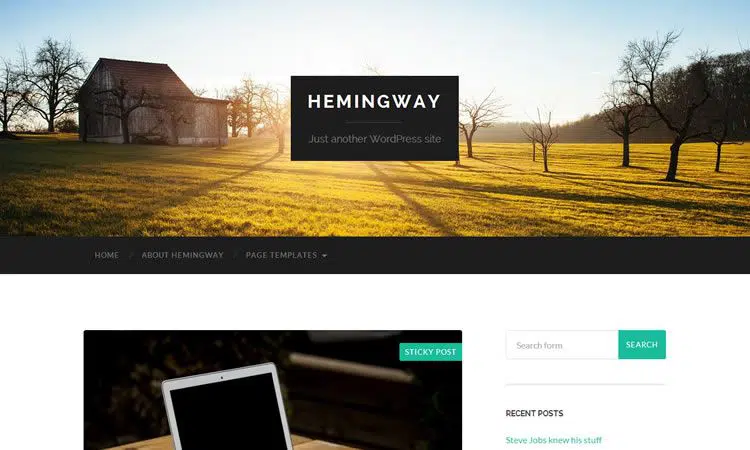 Hemingway (Two-column free WP theme for blogging)