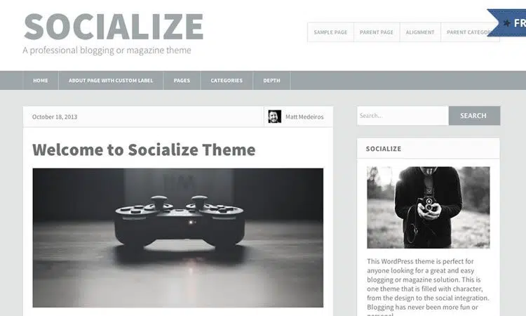 Socialize Lite (WordPress free Blogging theme)