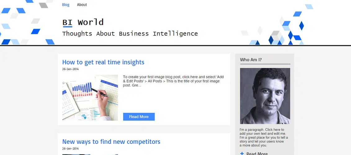 Business Intelligence Blog