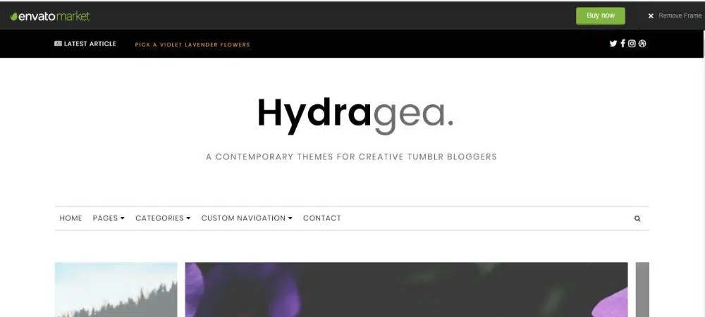 Hydragea Theme