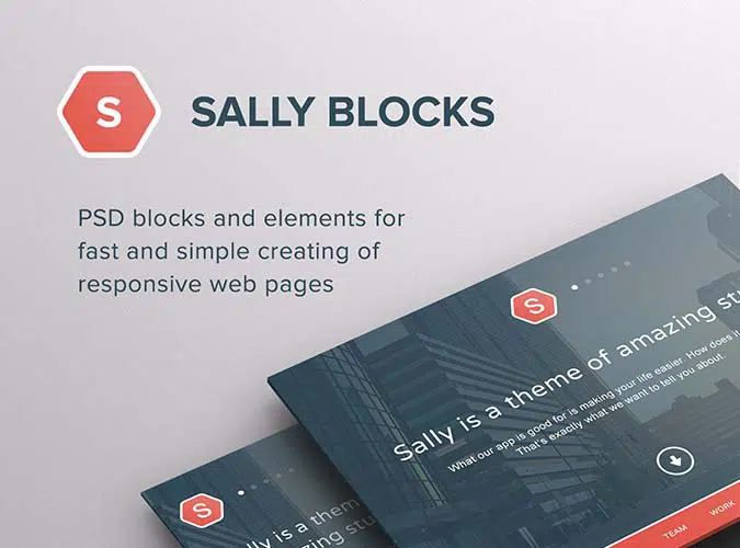 Sally Blocks