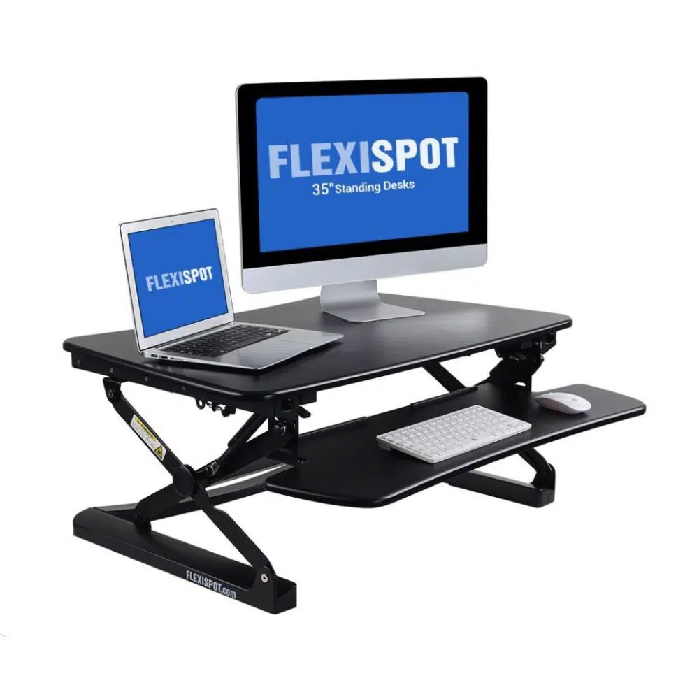 FlexiSpot Standing Desk