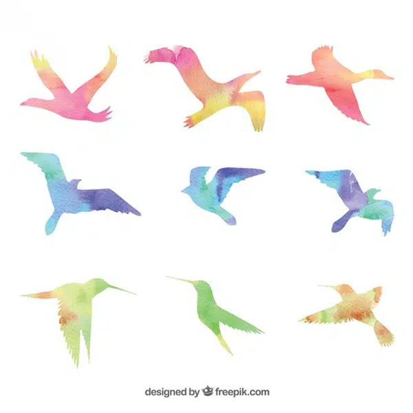 Watercolor-birds