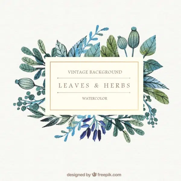 Watercolor-leaves-and-herbs-background