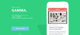Gamma---Mobile-Retina-HTML5-and-CSS3-WordPress