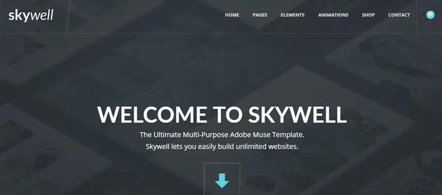 Skywell Ecwid-Compatible Themes