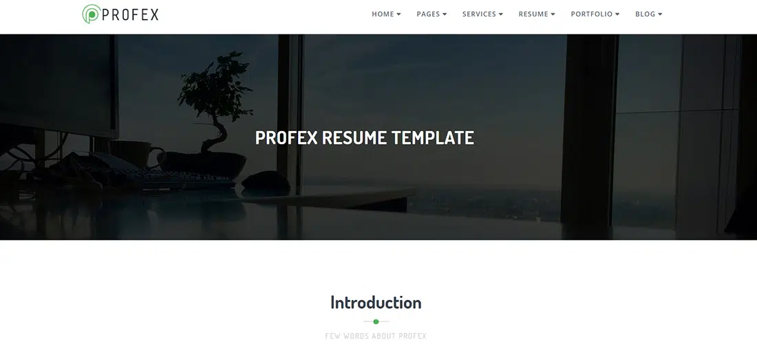 Profex - CV Personal HTML Website Template