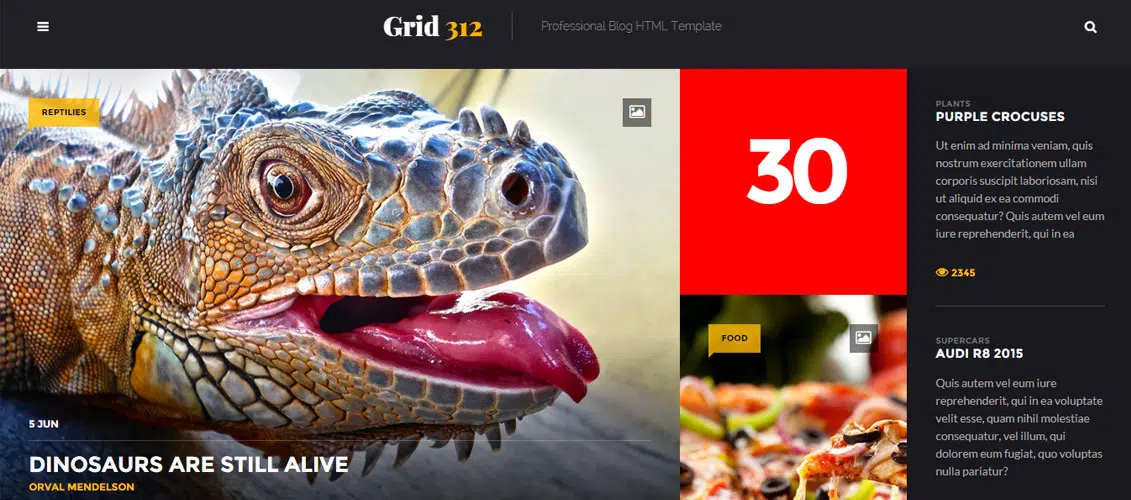 Grid312 Personal HTML Website Template