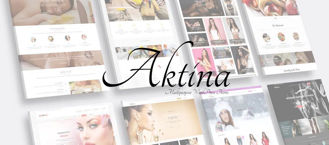 Aktina---Responsive-Multi-Purpose-WordPress-Theme