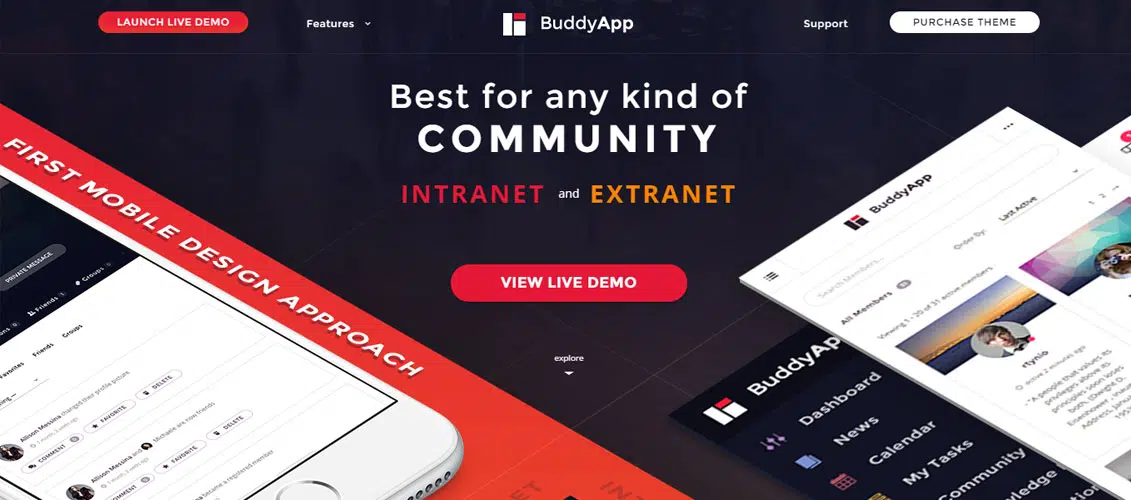 BuddyApp Mobile First Community WordPress theme