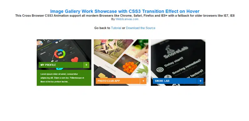 Image Gallery Work Showcase with CSS3 Transition Effect on Hover