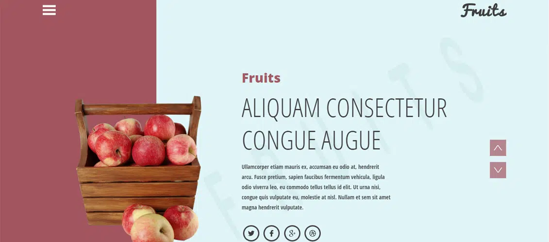 Fruits-a-Agriculture-Category-Flat-Bootstrap-Responsive-Web-Template
