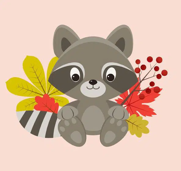 create-a-raccoon-character