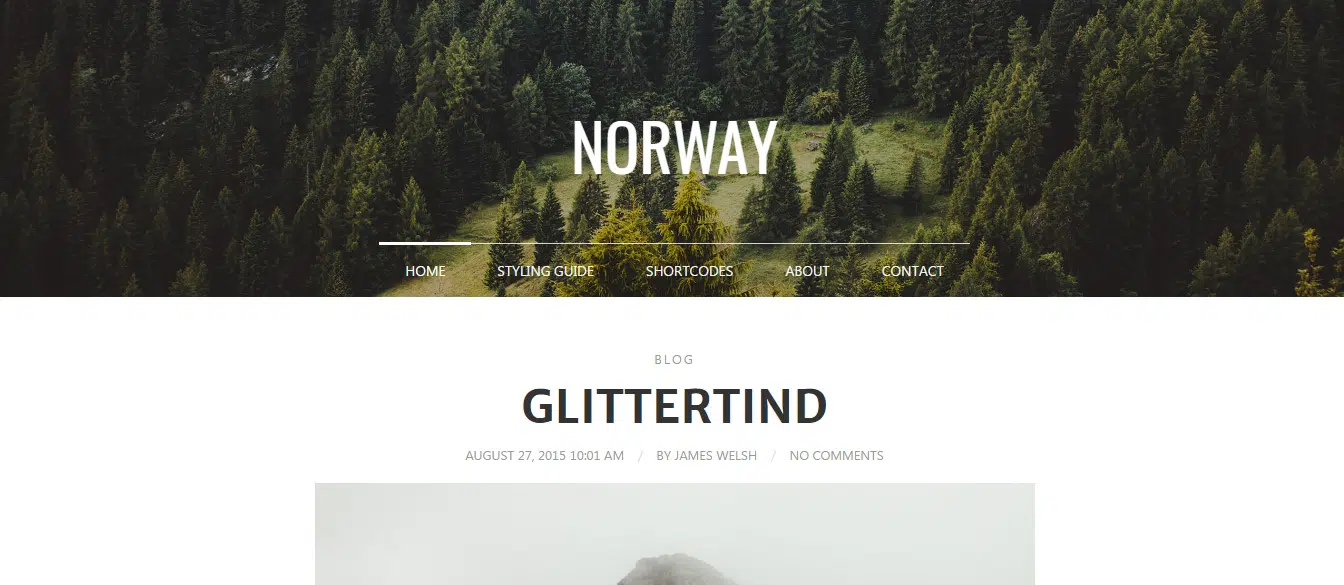 Norway - Responsive WordPress Theme Preview