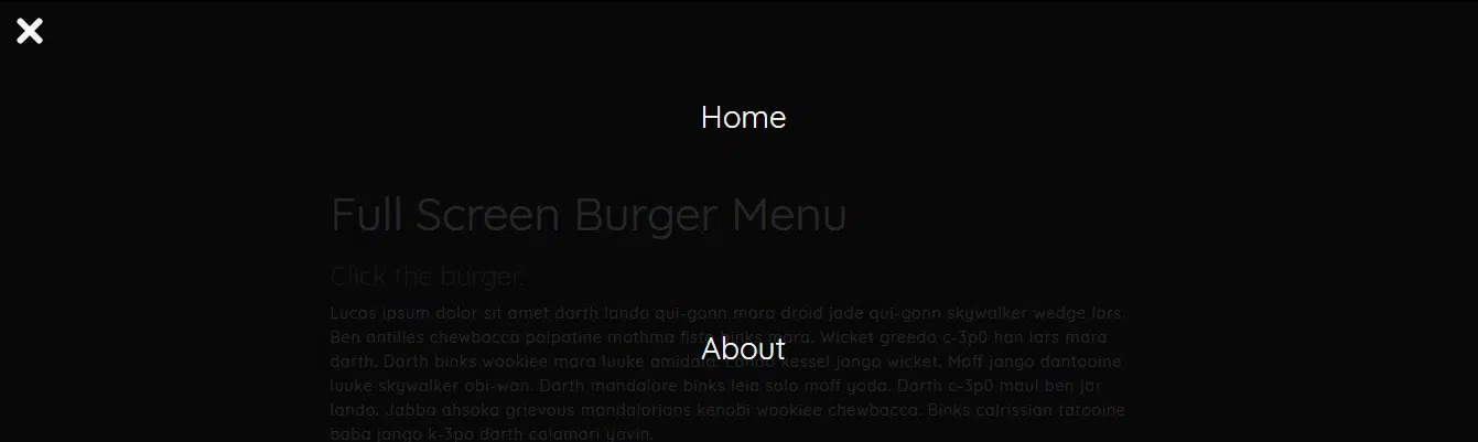 Full-screen-burger-menu
