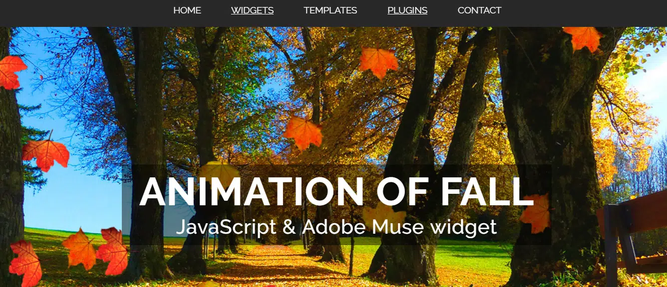 Animation Adobe Muse
