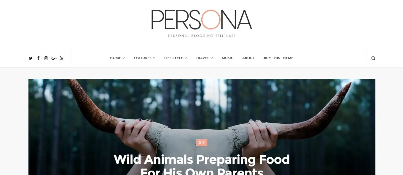 Persona LifeStyle Personal blogger Template