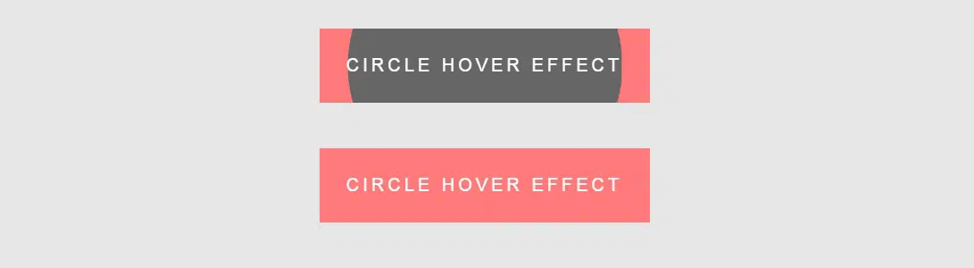 Circle Hover Effect material design css snippets