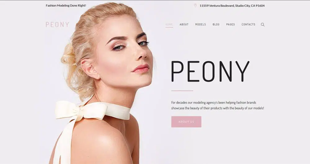 14-WordPress-Theme-for-a-Fashion-Modelling-Agency
