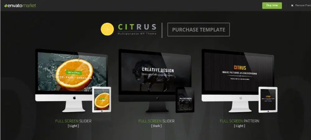 Citrus - WordPress One Page Theme