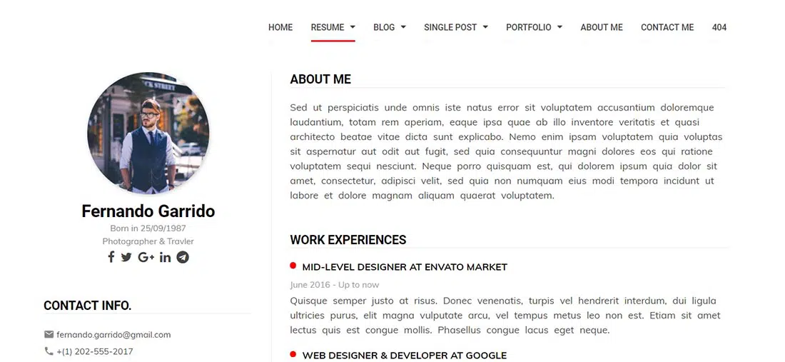 Flex - Personal Resume _ Blog _ Portfolio Template