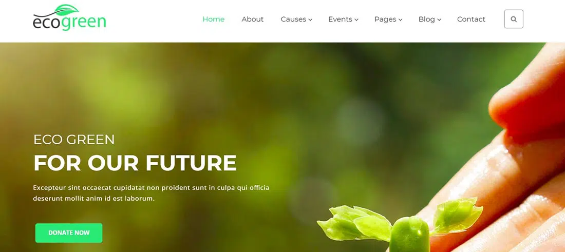 Ecogreen Non Profit Website Template