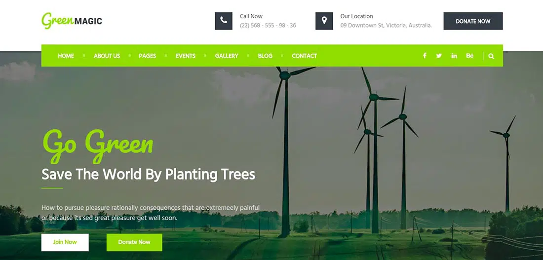 Green Magic Non Profit Website Template