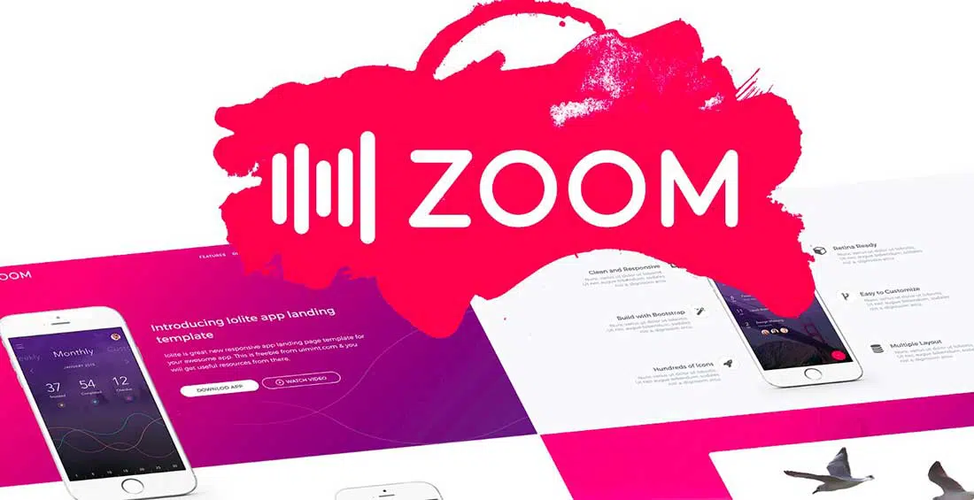 23 Zoom UI kit