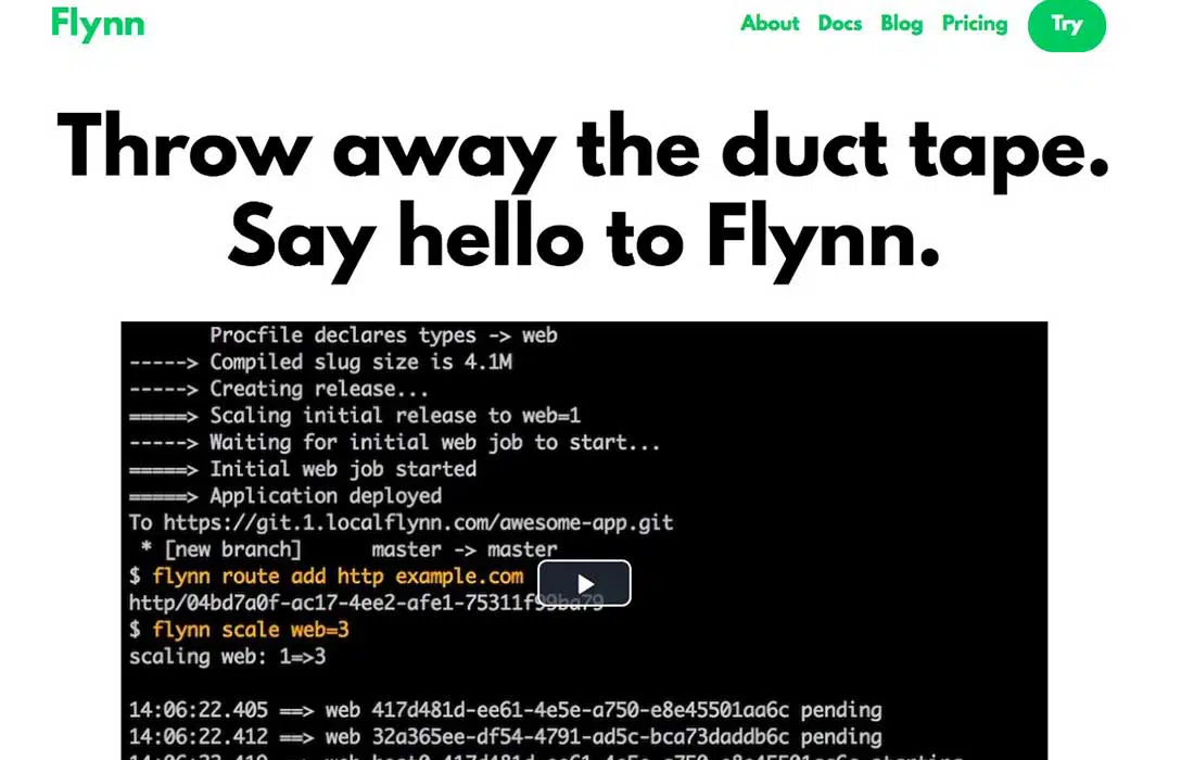 Flynn Landing Page