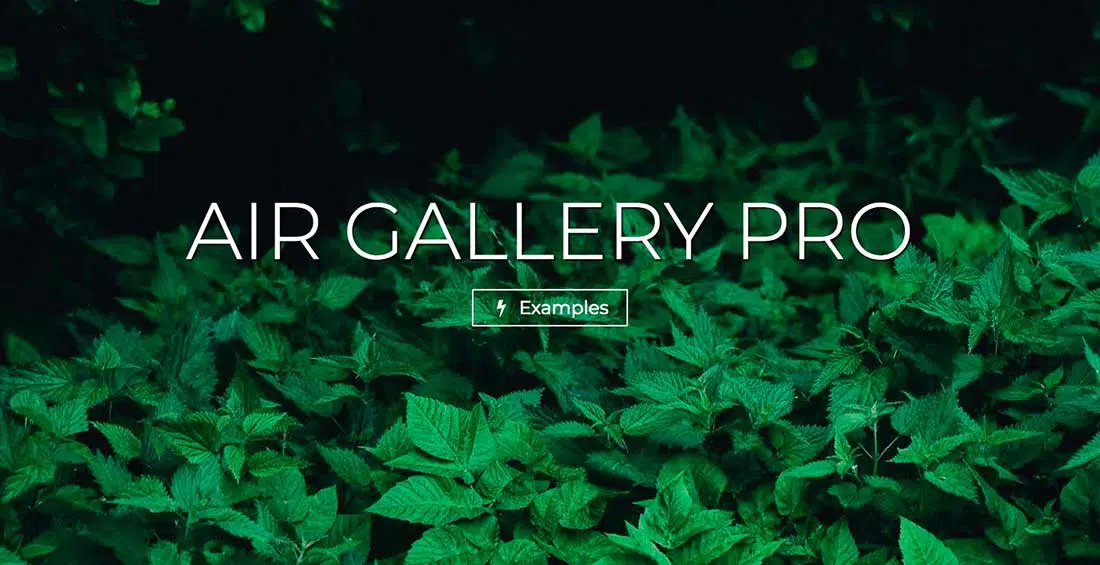 12 Air Gallery Pro - WordPress gallery plugin
