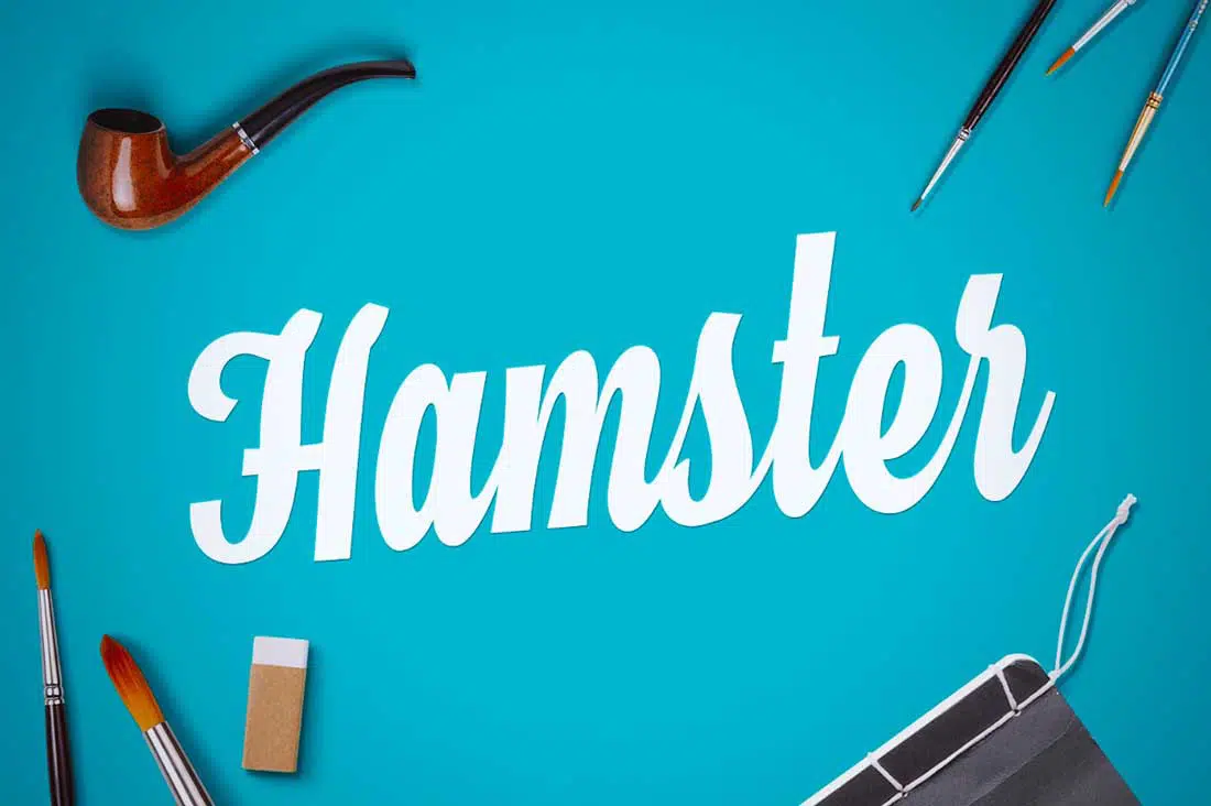 16 Hamster Script