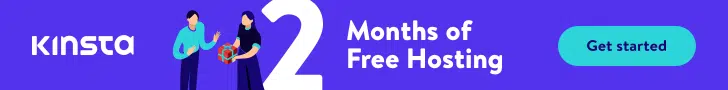 Kinsta WordPress Hosting Banner - 2 Months Free