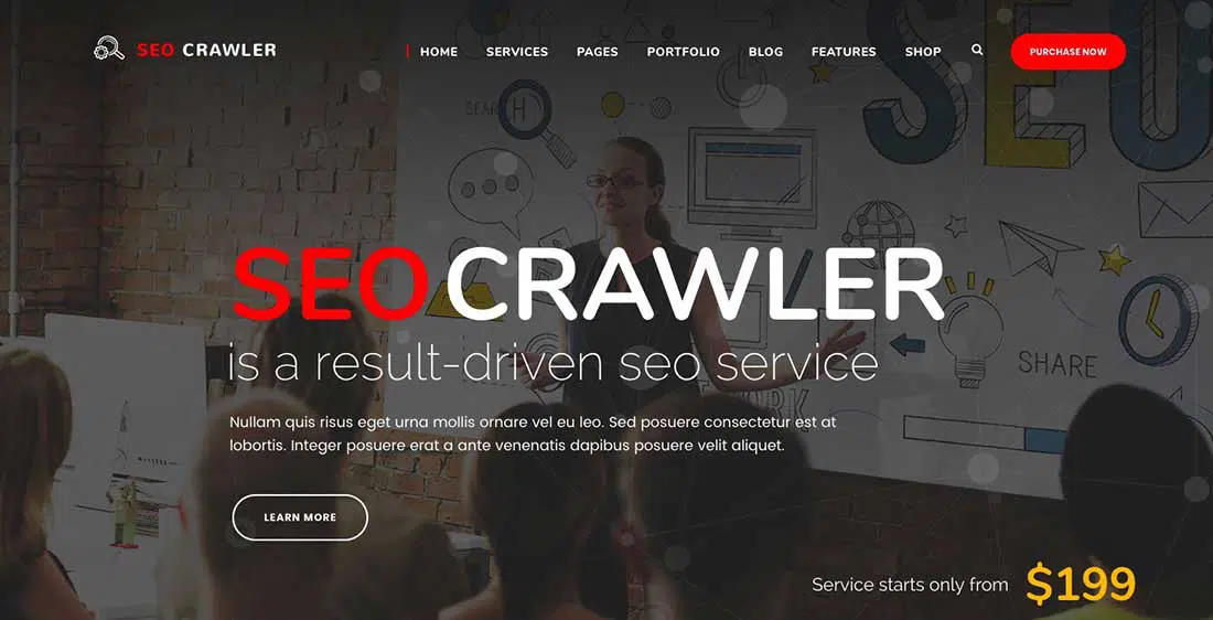 6 SEO Crawler - Digital Marketing Agency, Social Media, SEOWordPress Theme