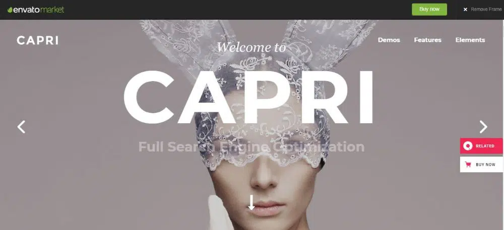 20 Feminine WordPress Themes & Templates- Capri