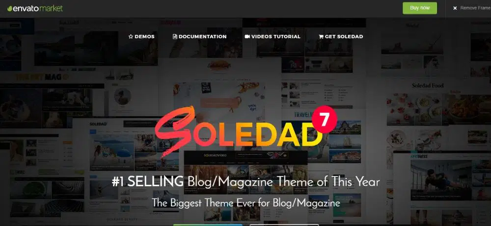 18 Best Minimalist WordPress Themes- Soledad