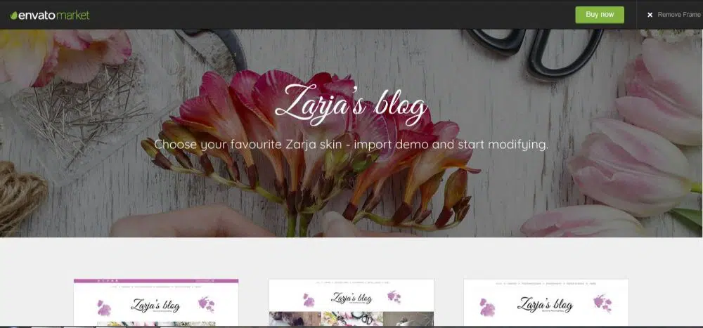20 Feminine WordPress Themes & Templates- Zarja