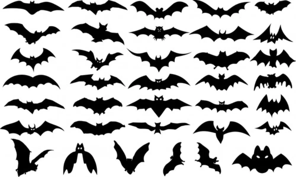 Halloween design elements bats icons silhouette design Free vector