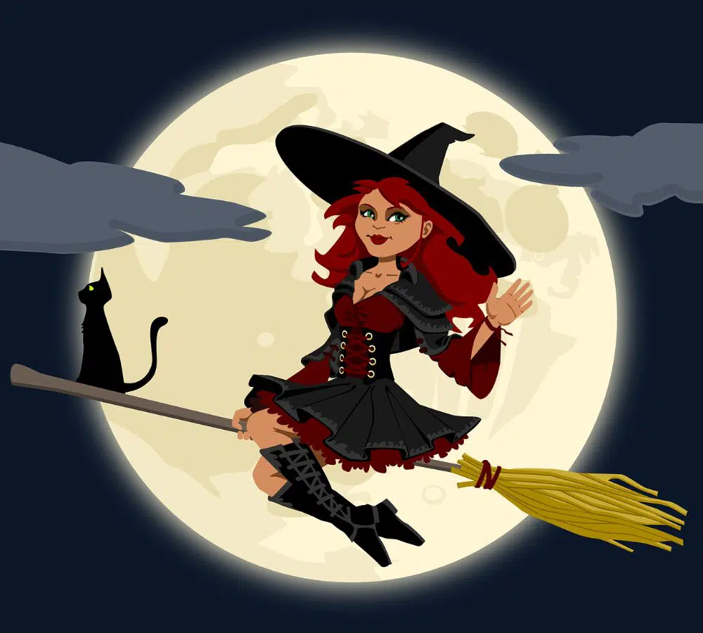 Witch Vector